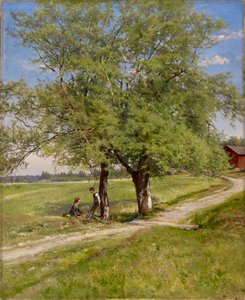 作： Hjalmar Munsterhjelm