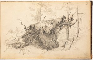  作： Hjalmar Munsterhjelm