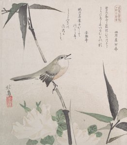 バラと竹とナイチンゲール、19 世紀., 19 世紀. 作： Hokuba