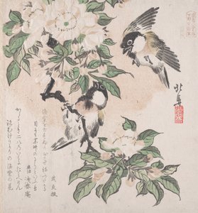 春雨集 春雨集 vol. 3: シジュウカラとカニのリンゴの花、約。 ...、約。 1820年。 作： Hokuba