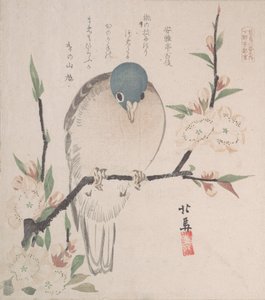春雨集 春雨集 vol. 3: 山鳩と桃の花、約。 1820年頃。 1820年。 作： Hokuba