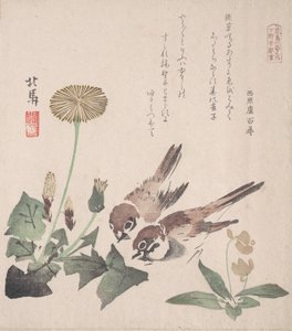 春雨集 春雨集 vol. 3: スズメとタンポポ、約。 1820年頃。 1820年。