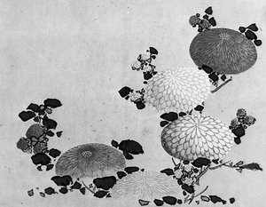 菊、19世紀。 作： Hokusai School.