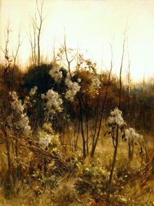 旅人の喜び 作： Hon. Walter John James