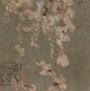 藤の花、江戸時代、17世紀初頭。 作： Hon