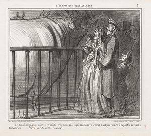 動物の博覧会：Pl。 5、牛象、新種... 作： Honoré Daumier