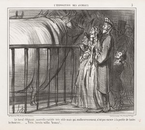 動物博覧会: 牛象、新品種 作： Honoré Daumier