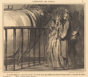 新品種エレファントビーフ 作： Honoré Daumier