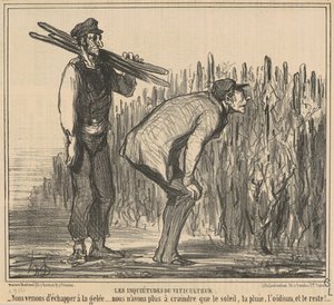 ワイン生産者の懸念 作： Honoré Daumier