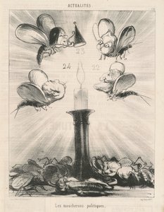 政治的なブヨ 作： Honoré Daumier