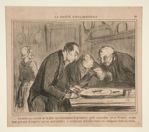 最初の小さなワニを熟考する喜びの絶頂期の科学者 作： Honoré Daumier