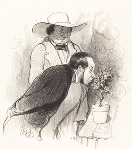 植物学者の勝利 作： Honoré Daumier