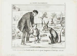 中米のカンガルーと息子を仲良くさせようとする科学者（La Société D