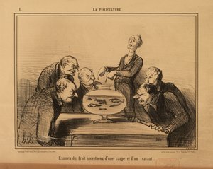Die Fischzucht Nr. 1: Untersuchung der inzestuösen Frucht eines Karpfens und eines Gelehrten