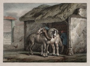 農場の馬 作： Emile Jean Horace Vernet