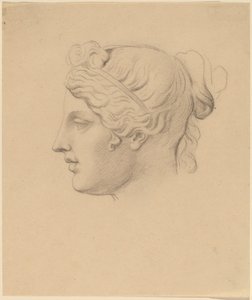 プロフィールの古典的な頭 作： Horatio Greenough