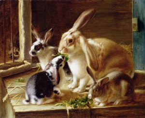猫に見守られた檻の中の耳の長いウサギ 作： Horatio Henry Couldery