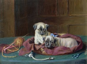 かごに入ったパグの子犬（パネル） 作： Horatio Henry Couldery