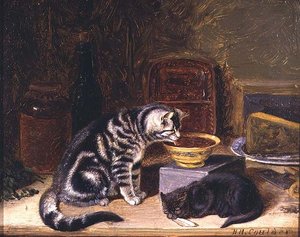 2匹の猫 作： Horatio Henry Couldery