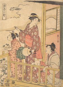 長尾鳥 オナガドリ 12羽の鳥のアソート ショウチョウ ジュニキン...、ca. 1791年。