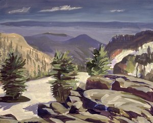 マウンテンビスタ、ラッセン火山国立公園、2000（キャンバスにアクリル） 作： Howard Ganz