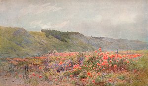 ポピーの谷、c1879-1903、1903 作： Howard Gull Stormont