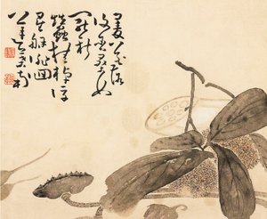 彩色されたアルバム リーフ - 蓮の植物、18 世紀 作： Huang Shen