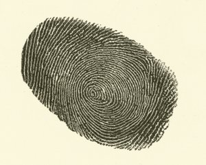 指紋（刻印 作： Hugh Rowley