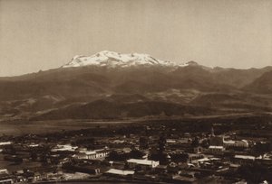 メキシコ：アメカメカとイスタチオワトル（モノクロ写真）