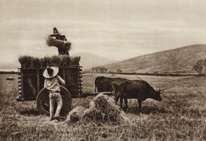 メキシコ：小麦を収穫する農民（モノクロ写真） 作： ウーゴ・ブレーメ