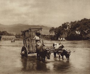 メキシコ：円盤状の車輪を持つ牛車（モノクロ写真）