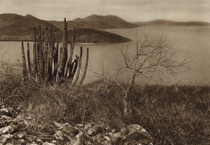 メキシコ：バハ・カリフォルニア海岸近く（モノクロ写真）
