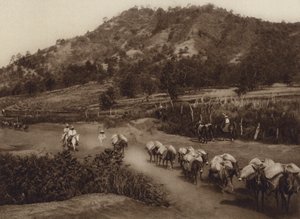 メキシコ：内陸部の交通拠点（モノクロ写真）