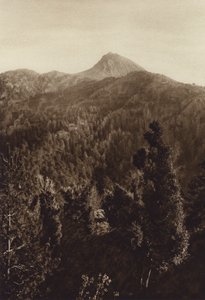メキシコ：ネバド・デ・コリマ、部分写真（モノクロ写真）