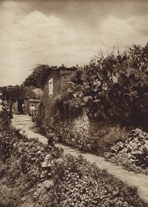 メキシコ：サン・アンヘルD Fの絵のように美しい一角（モノクロ写真） 作： ウーゴ・ブレーメ