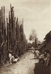 メキシコ：サンティアゴ、円柱の形をしたサボテンが特徴的な村の通り（モノクロ写真） 作： ウーゴ・ブレーメ