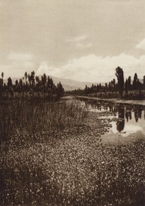 メキシコ：ソチミルコ、主要な運河のひとつ（モノクロ写真）