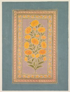 開花マリーゴールド、c。 1765年。 作： Hunhar II