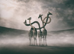  作： Hussain Buhligaha