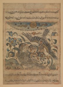 ワシのつがい、マナフィ・アル・ハヤワンのフォリオ 動物の有用性について...、ca。 1300。 作： Ibn Bakhtishu