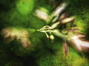 抽象的な緑のテクスチャ 作： Ida Publishing