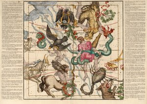 説明中の天球儀の平面からの冬至プレート5、パブ。 1674年（手描きの彫刻） 作： Ignace Gaston Pardies