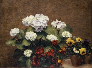 1879年の2つの鍋のパンジーのオルテンシアと株 作： Ignace Henri Jean Fantin Latour