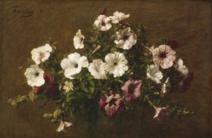 ペチュニア、1881 作： Ignace Henri Jean Fantin Latour
