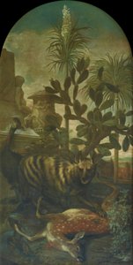 サボテンの風景の中のハイエナ、カモシカ、ヒクイドリ 作： Ignaz Heinitz von Heinzenthal