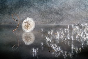  作： 