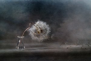 作： 