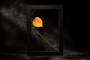  作： 
