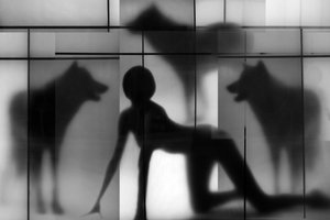 「女と狼の影」 作： 