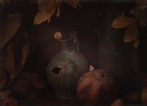  作： Igor Tokarev